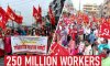 250 millones de trabajadores